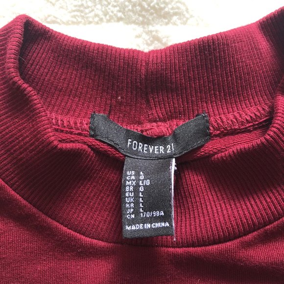 Forever 21 Varsity Letter Cropped Pullover - Picture 3 of 4